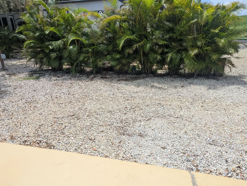rv site from the patio-passengers side.webp