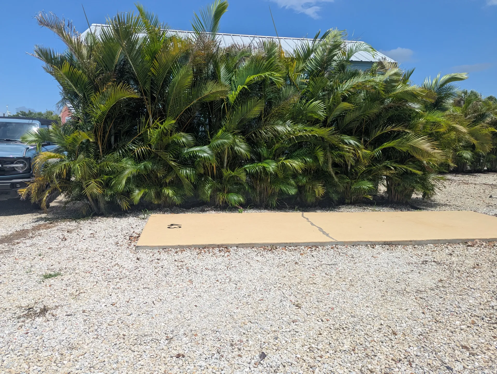 RV Site #0008